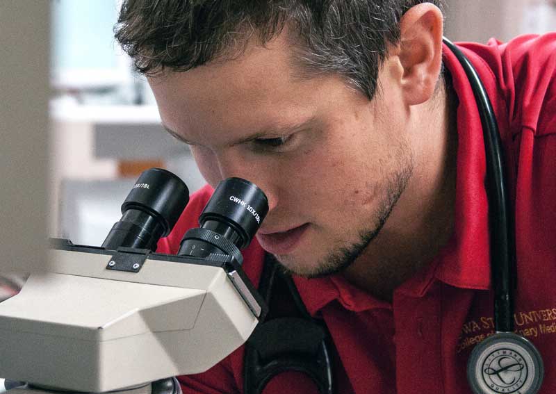 Carousel Slide 4: Pet diagnostic services